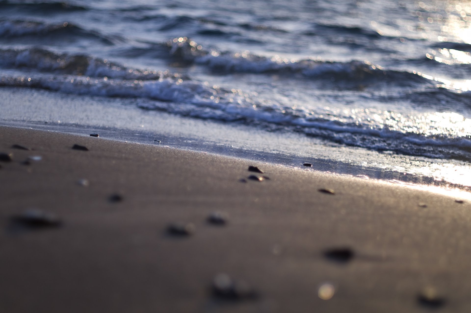 mare costa spiaggia sabbia glitter luce onde acqua conchiglie rocce ciottoli natura macro