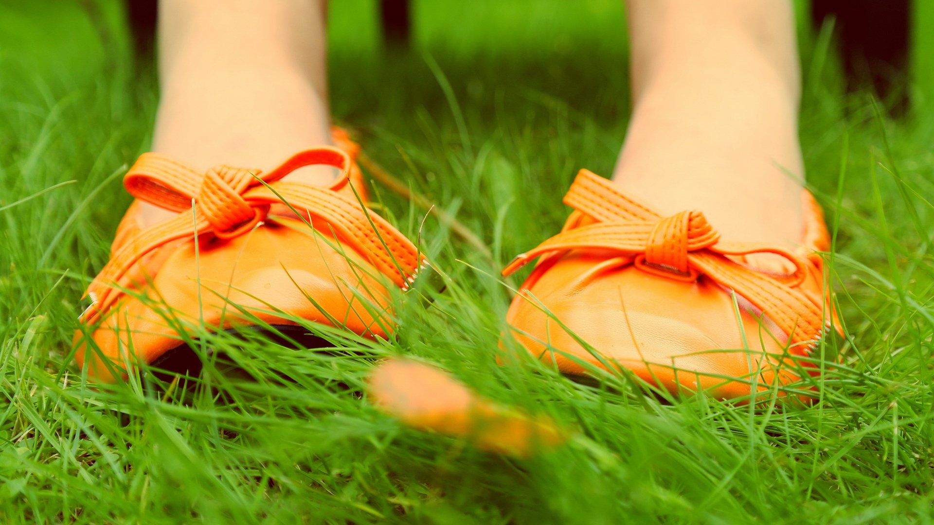 nature shoes grass sheet