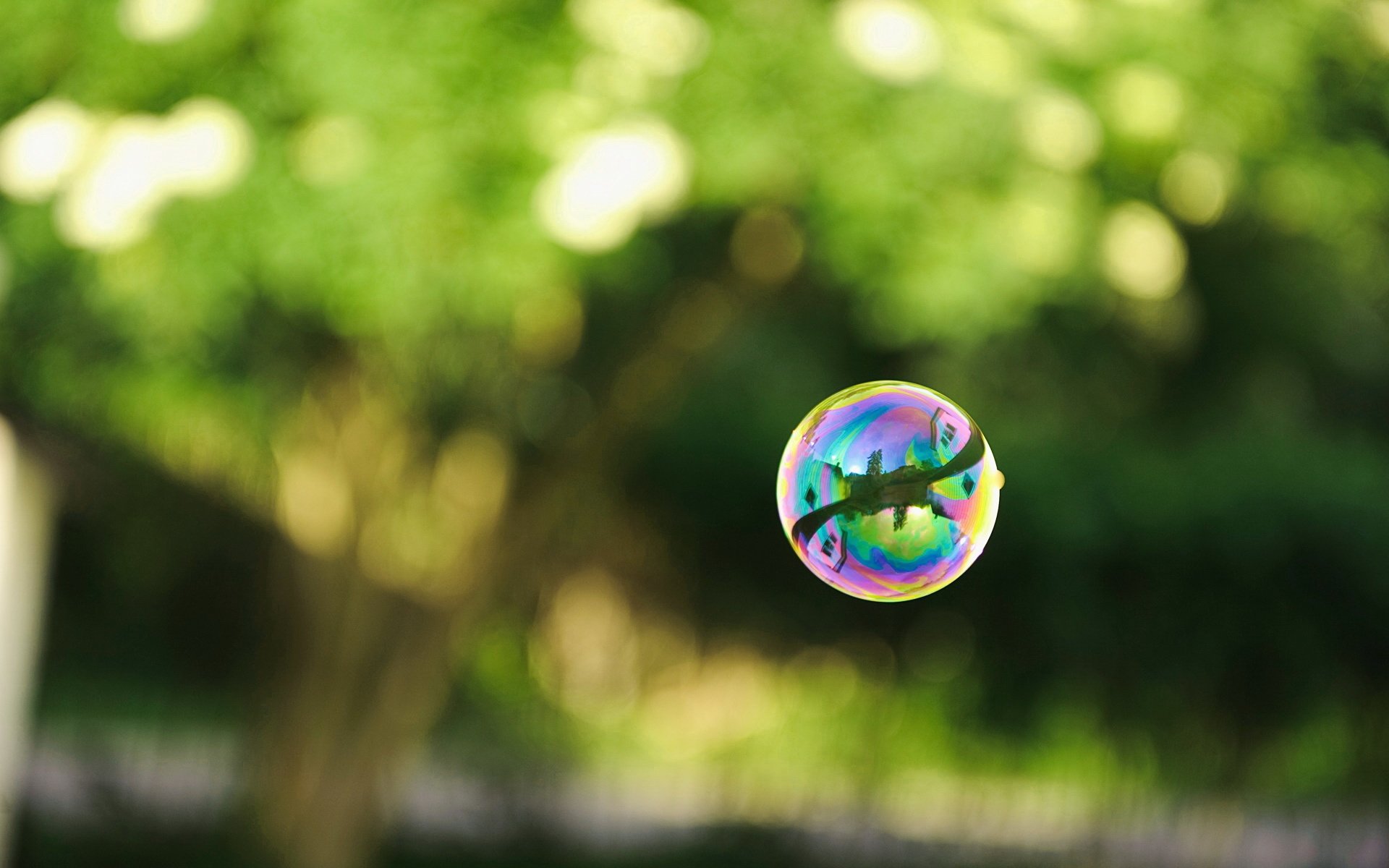 photo bulle savon boule réflexion verdure