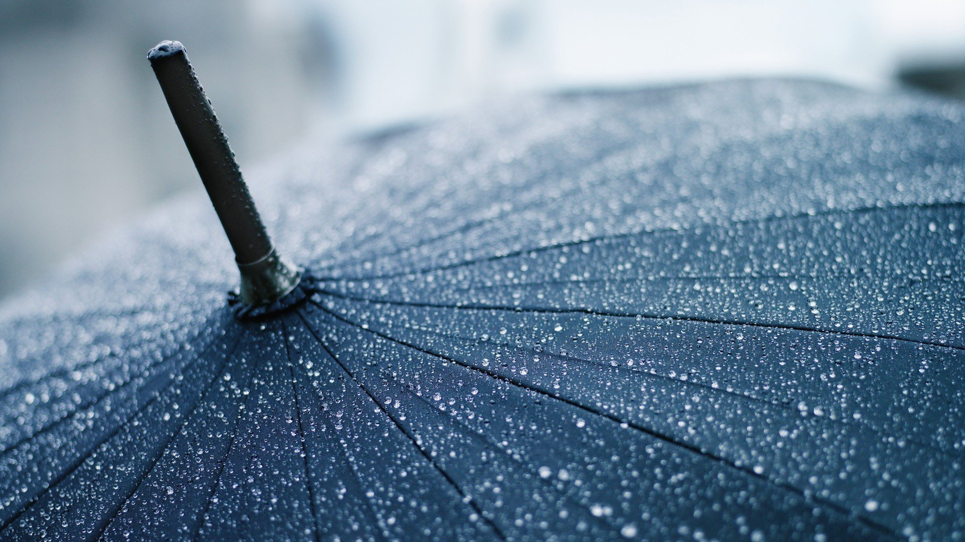 macro gotas paraguas paraguas lluvia