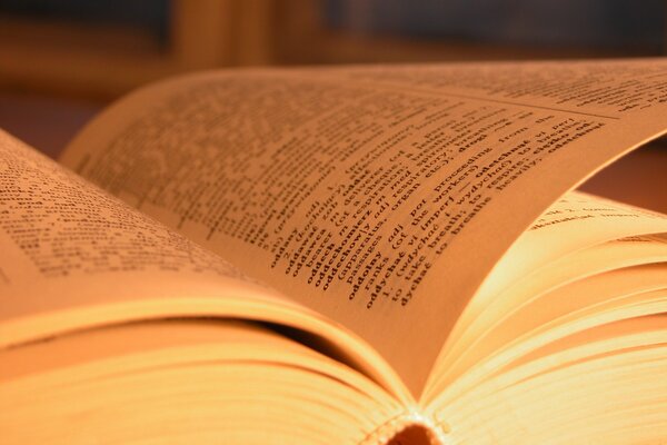 Feuilles de livre sous gros plan et sur papier blanc