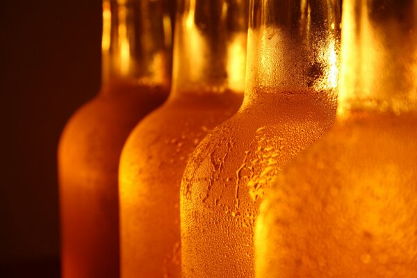 Botellas de cerveza con gotas que gotean sobre ellas