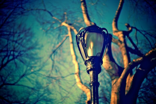 Metal lantern on the background of blurred branches without leaves