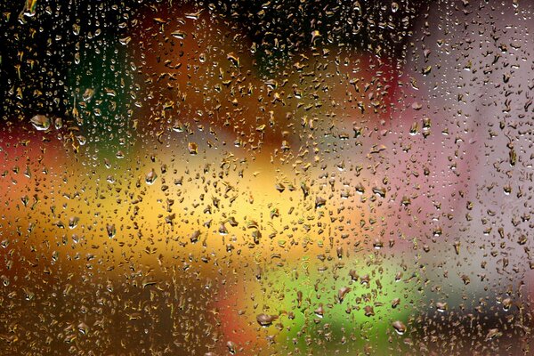 City lights behind rain-soaked glass