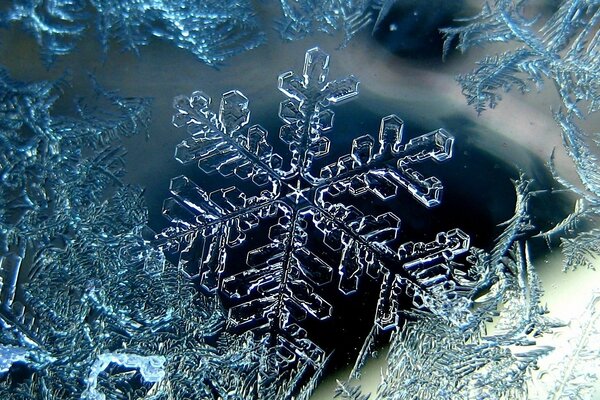 Fotografia macro di fiocco di neve intagliato