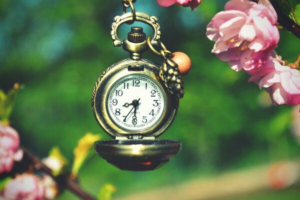 Macro shooting of a clock on a background of flowers and greenery