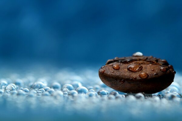 Grano de café en gotas de agua