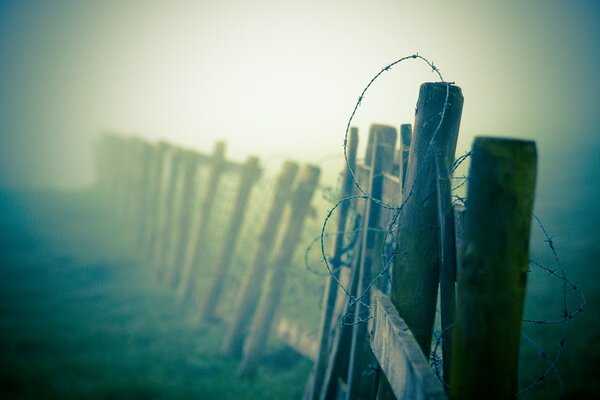 Mysterious fence in the evening haze