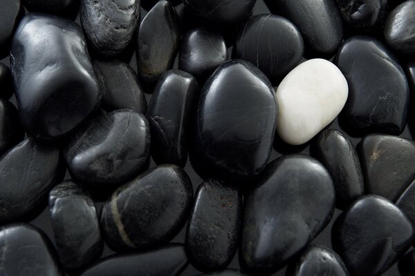 Black sea pebbles with white stone