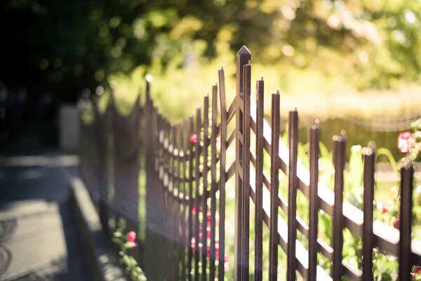 Metal fence is illuminated by the sun on a blurry background