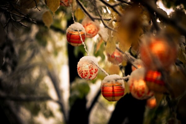 Lanternes sous la neige sur les branches des arbres