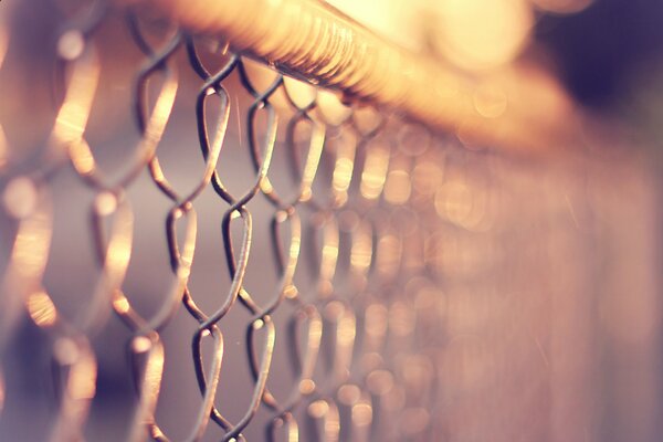 Macro mesh chain link fence