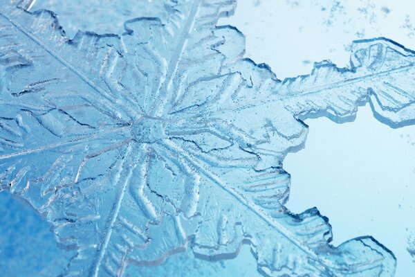 Zartblaue Schneeflocke in Nahaufnahme