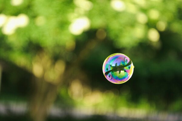 A soap bubble on a background of greenery