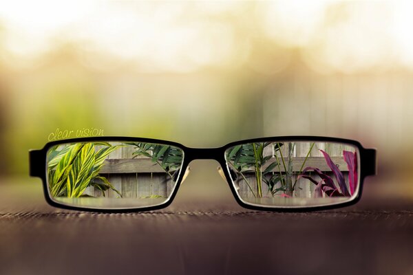 Glasses on the table leaves on the stack