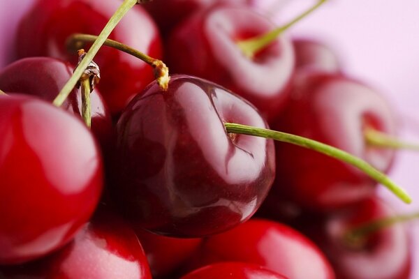 Red ripe juicy berries