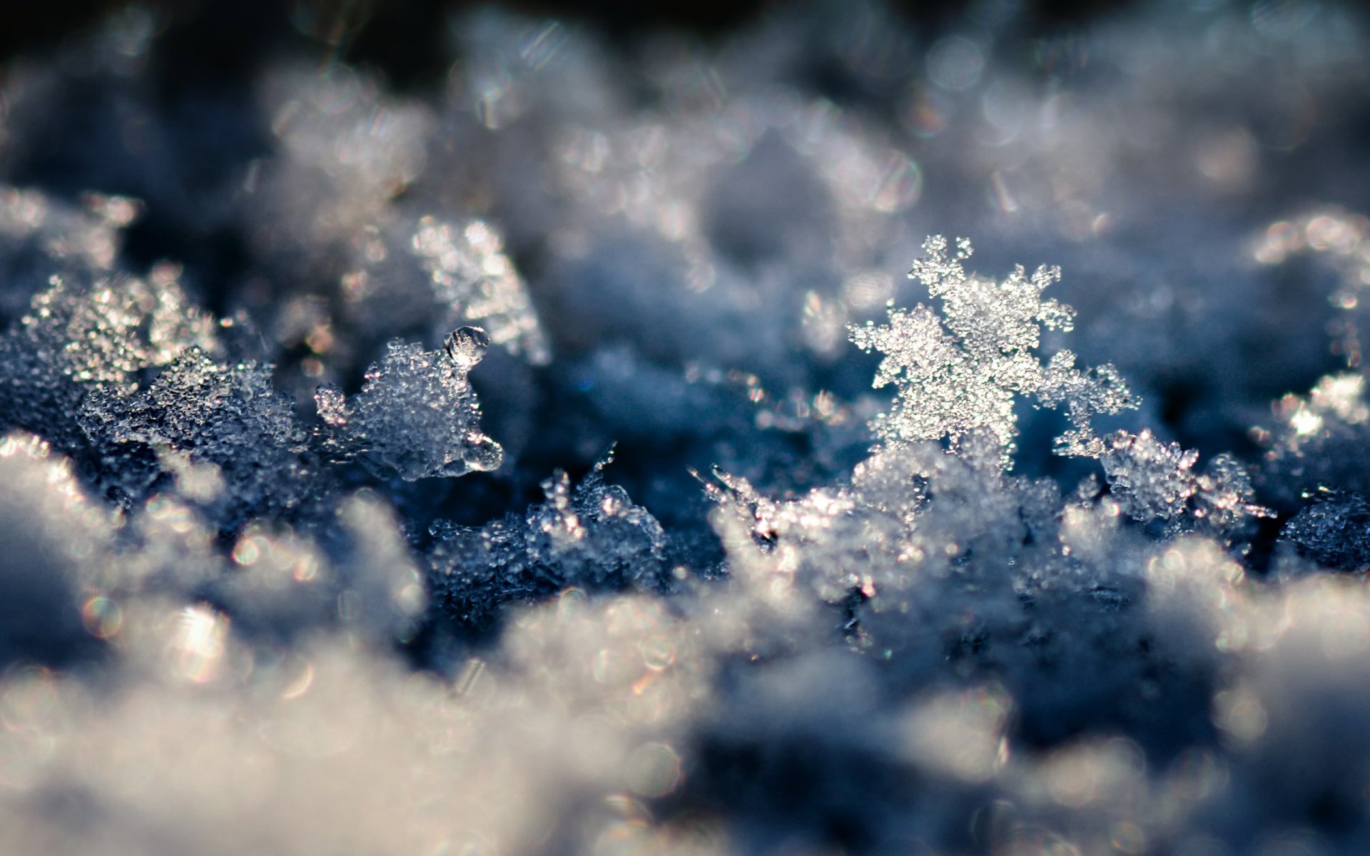 photo close up winter snow snowflakes background wallpaper