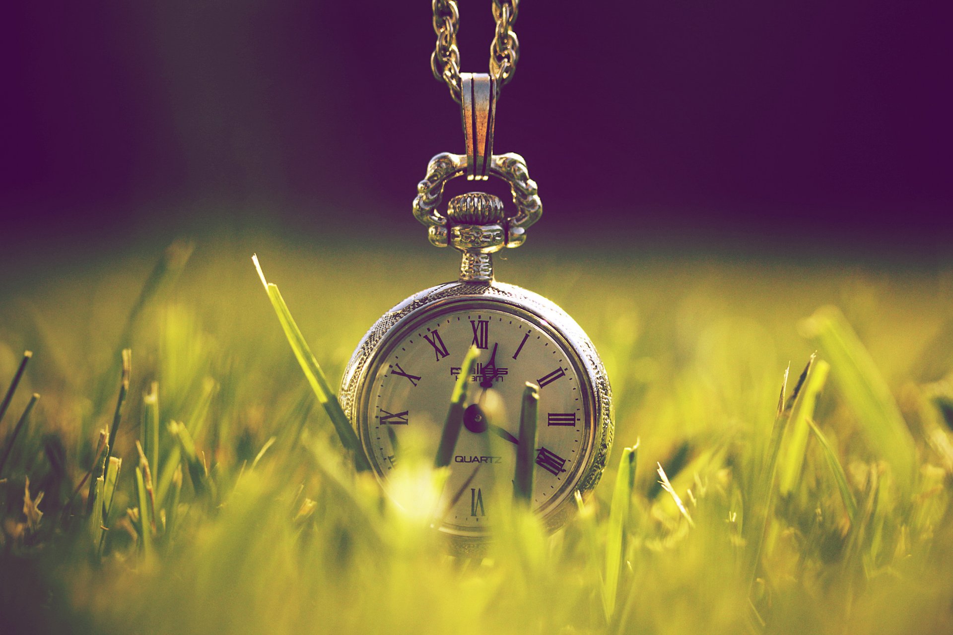 watches time grass green light close up nature