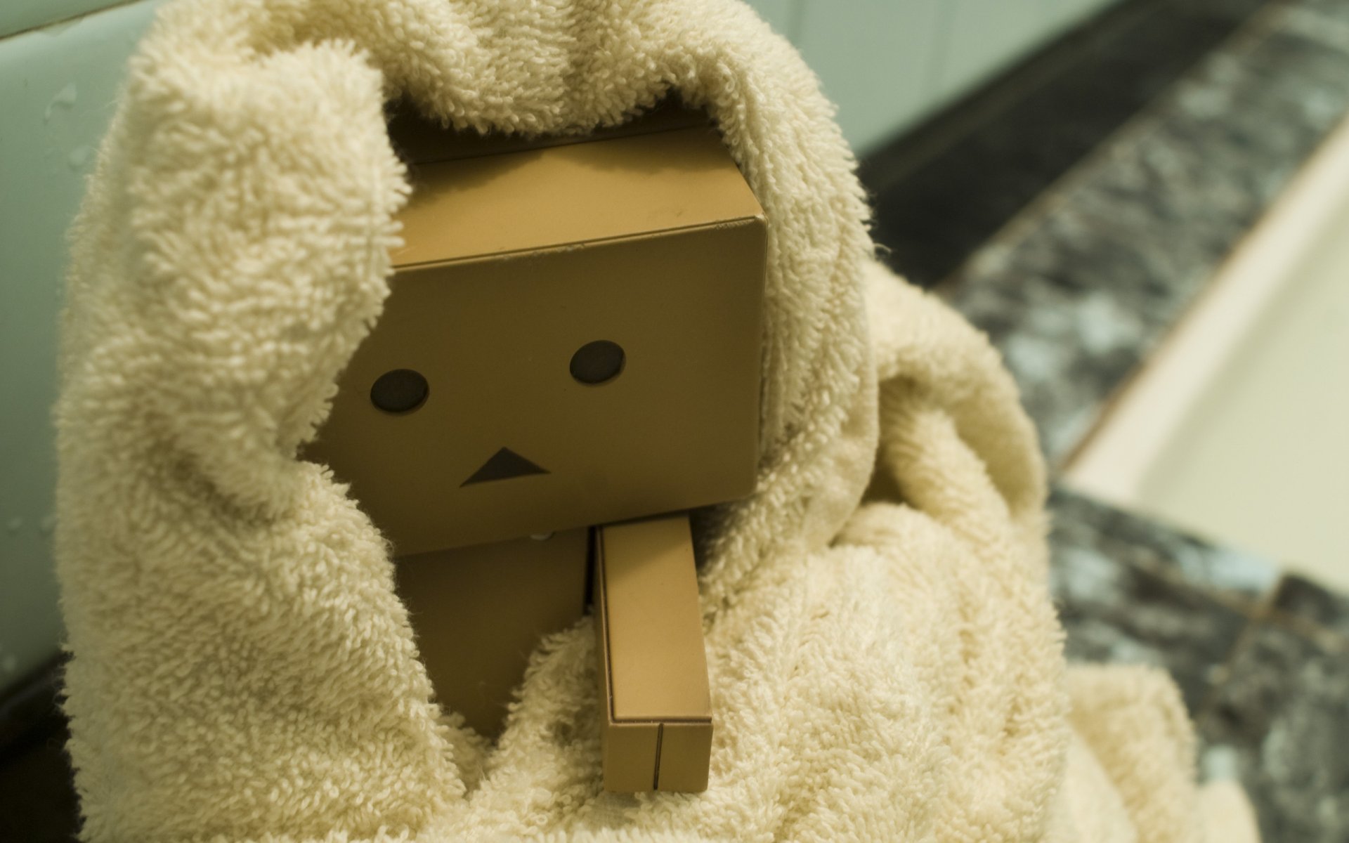 cardboard box head danbo