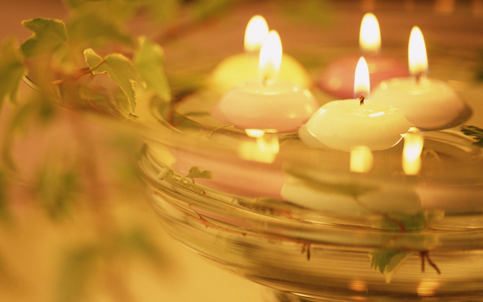 candele acqua luce calore pianta romanticismo