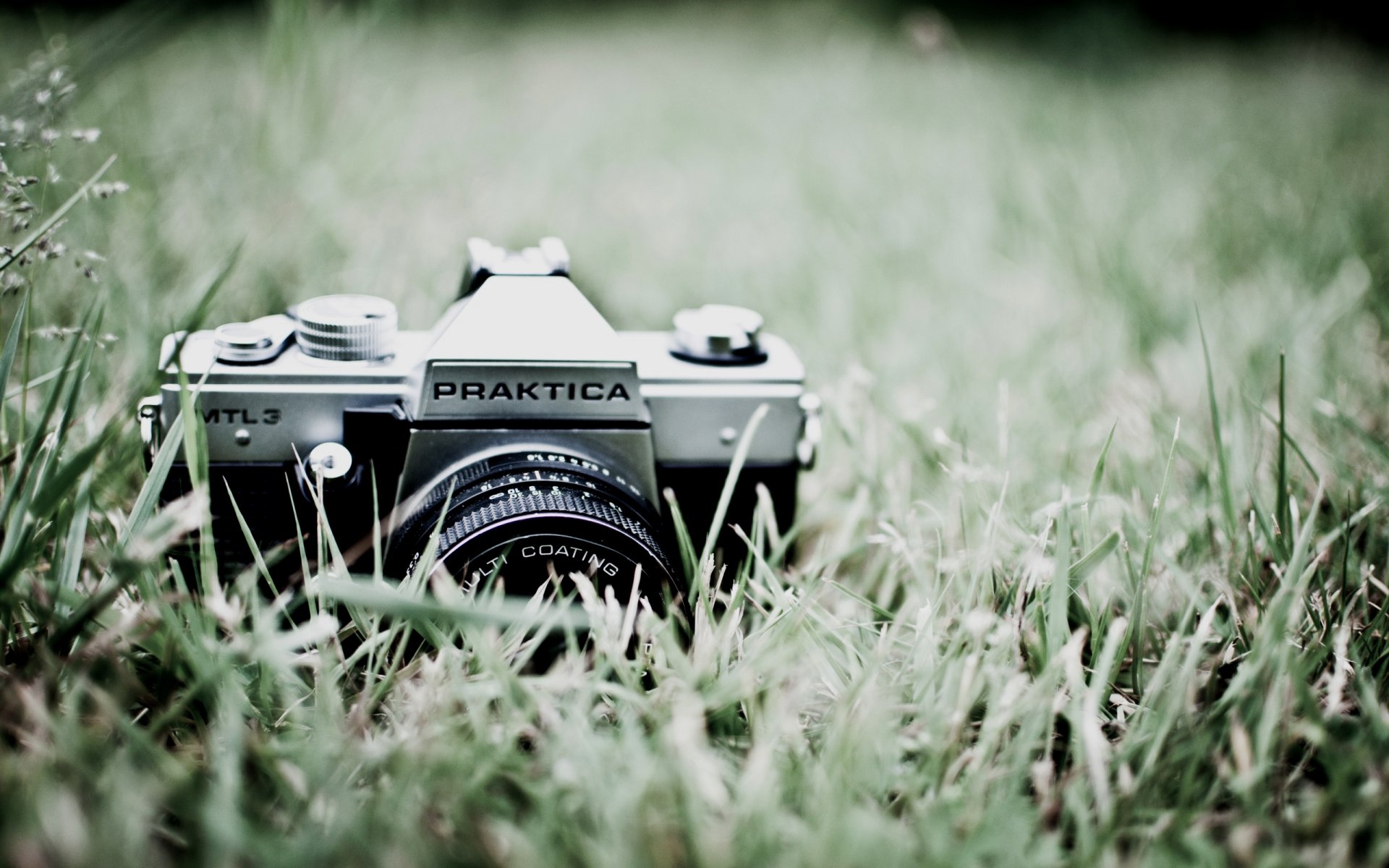 herbe verdure nature appareil photo praktica objectif photo macro fond d écran