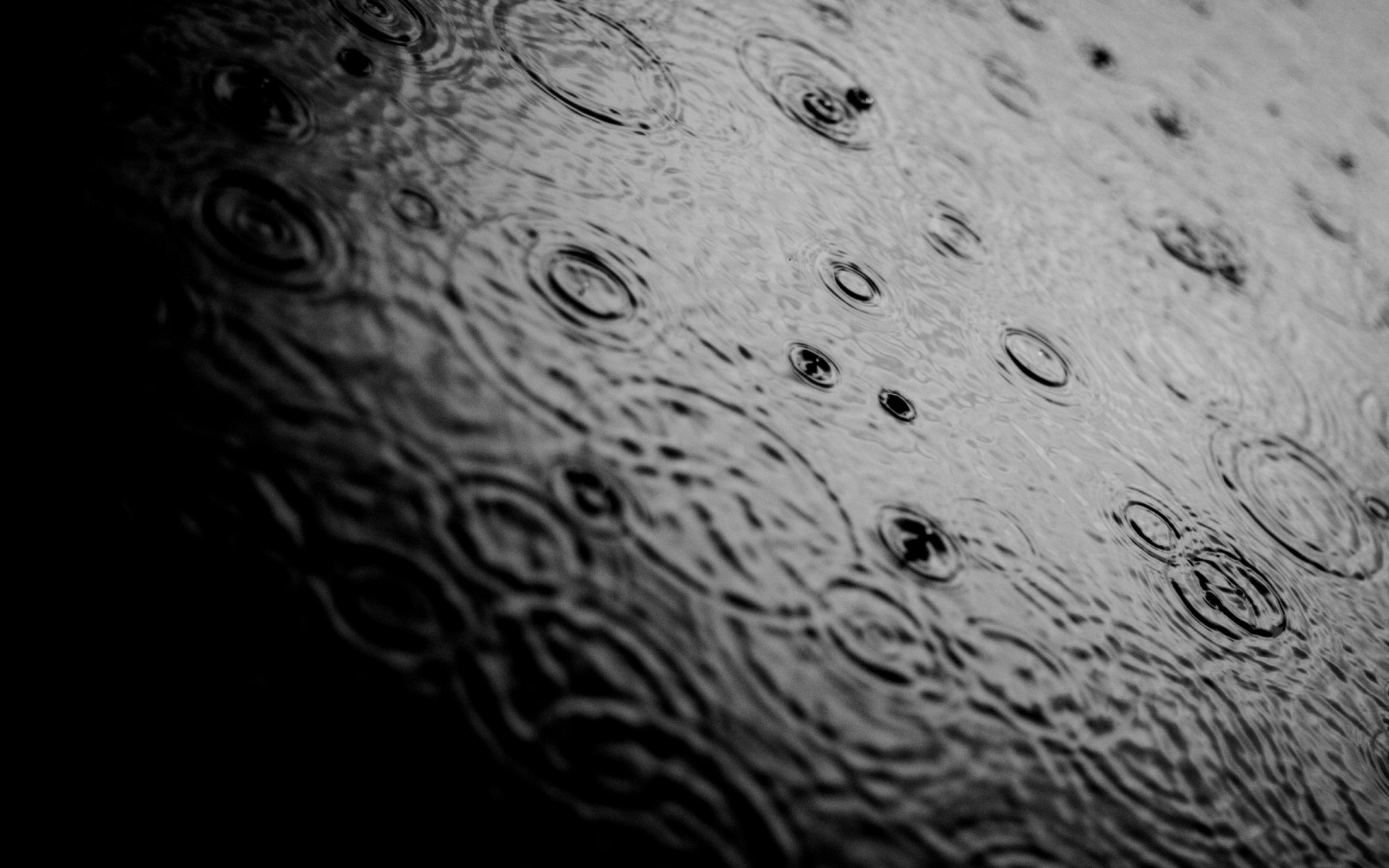 rain drops water mood photo close up b / w wallpaper