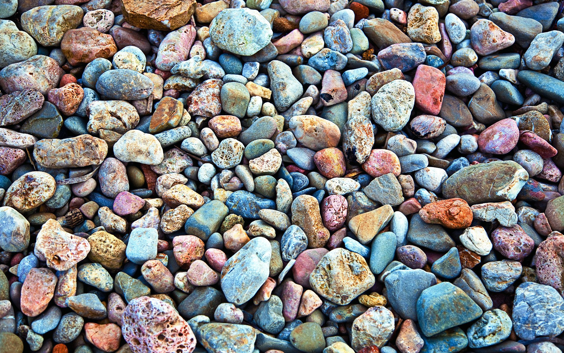 macro textura textura piedra mar piedras foto