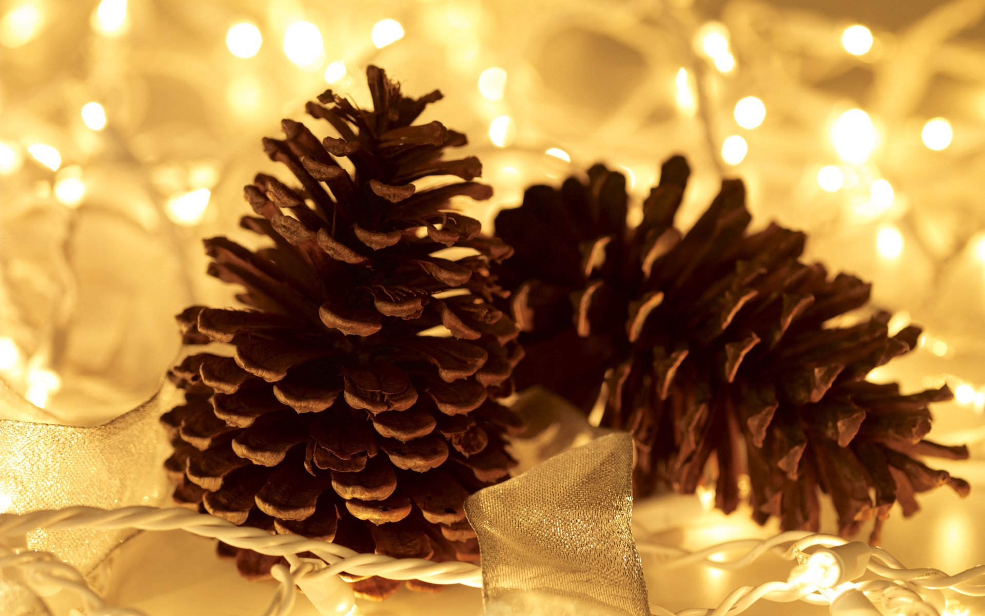 cone garland lights decoration close up