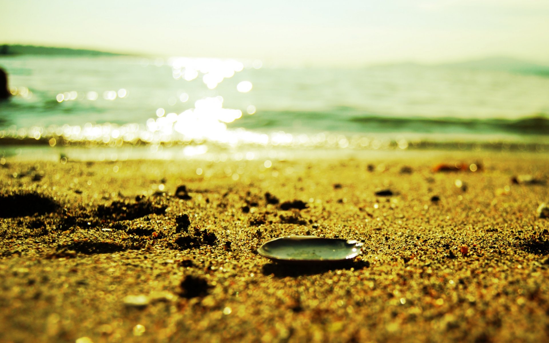 schale schale sand sandkörner strand glanz wasser meer licht sommer makro