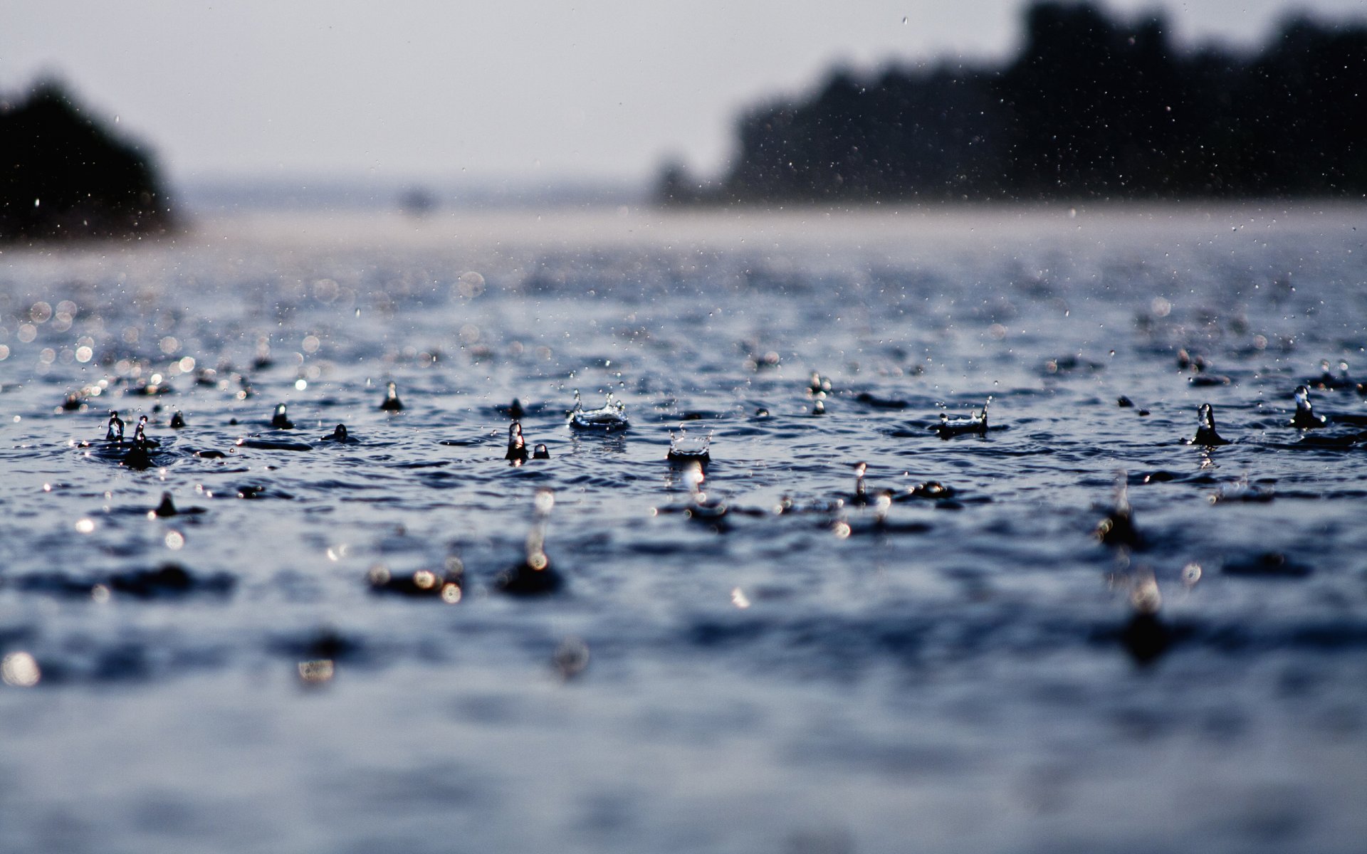 goutte gouttes pluie pluies eau humide douche douches