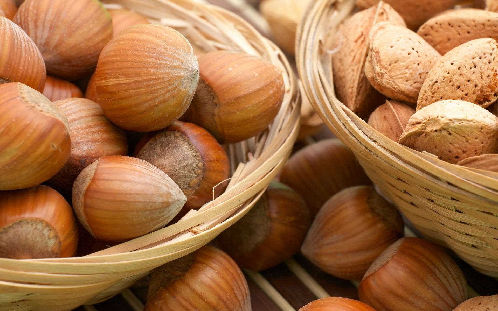 nuts hazelnuts forest bone yummy