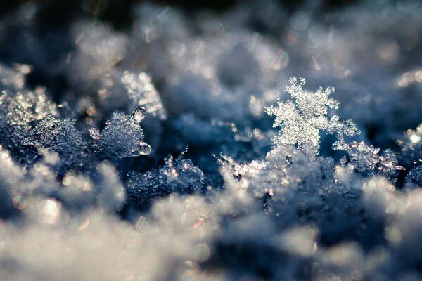 Foto de fondo de pantalla de invierno nevado