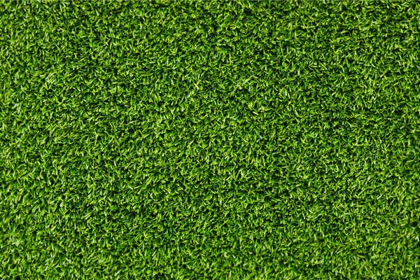 Tapis d herbe verte brillante