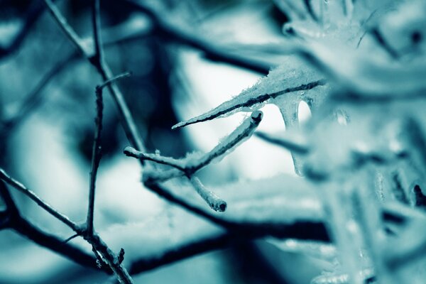 Frostige Frische und Kälte im Winter