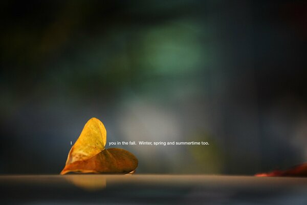 Yellow fallen leaf on a smooth surface