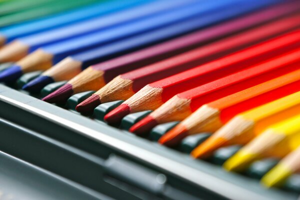 Astuccio per matite colorate per il disegno