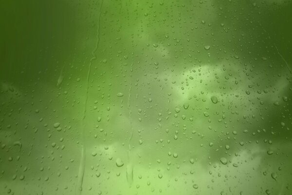 Gotas de lluvia sobre vidrio sobre fondo verde