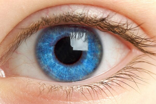 Blaues Auge mit langen Wimpern