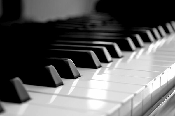 Teclas de piano en blanco y negro