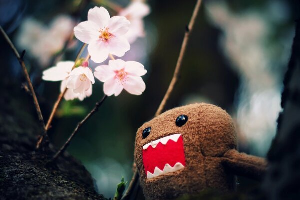 Domo-Kun Charakter Spielzeug und weiße Blumen