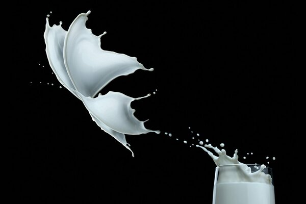 Spritzer Milch in Form eines Schmetterlings auf schwarzem Hintergrund