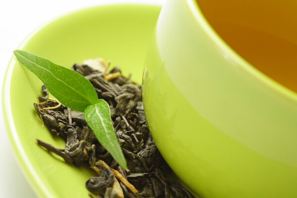 Feuille de thé sur une soucoupe verte