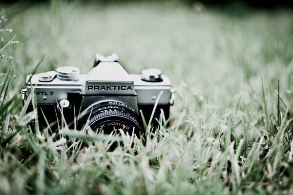 A professional camera is standing in the grass