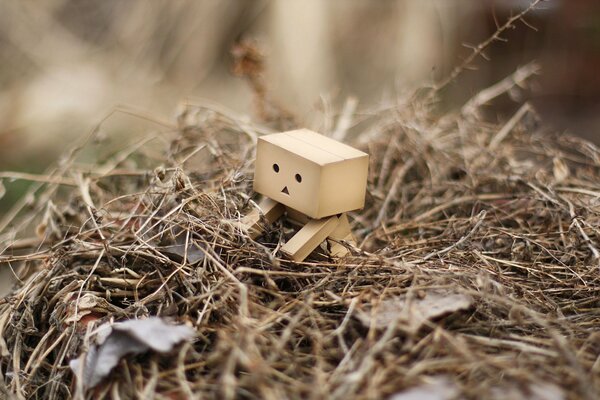 A man made of wood on dry grass