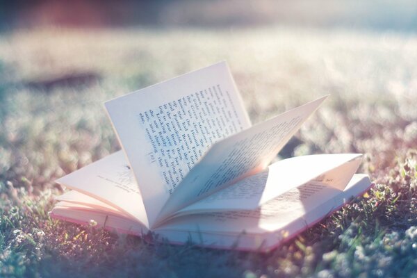 Libro abierto en la naturaleza