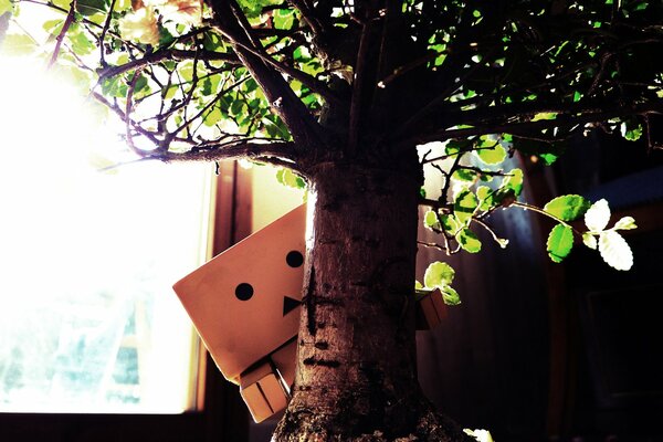 Mignon petit homme en boîte près de l arbre