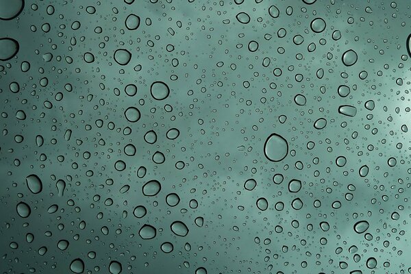 Raindrops on a green background