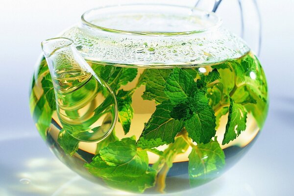 Té de hojas de menta en Tetera transparente