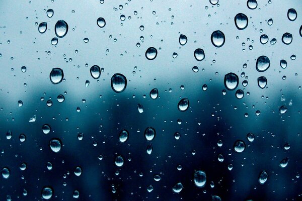 Макро капли дождя на окне