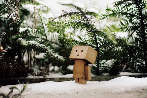 Ramas del árbol de Navidad en el fondo de la nieve